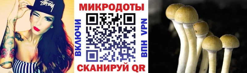 OMG ссылка  Цивильск  Псилоцибиновые грибы прущие грибы 